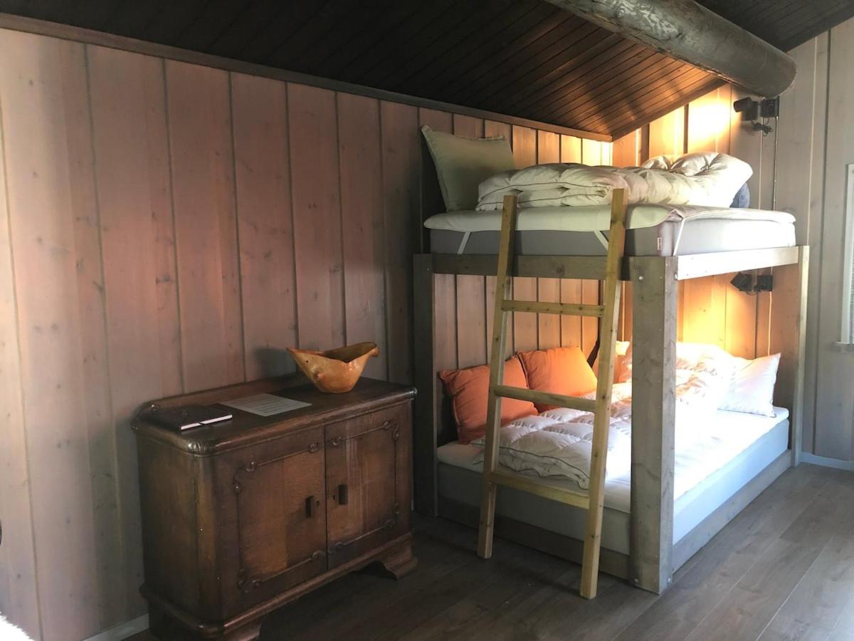 Cozy cabin 1,5 hours from Oslo