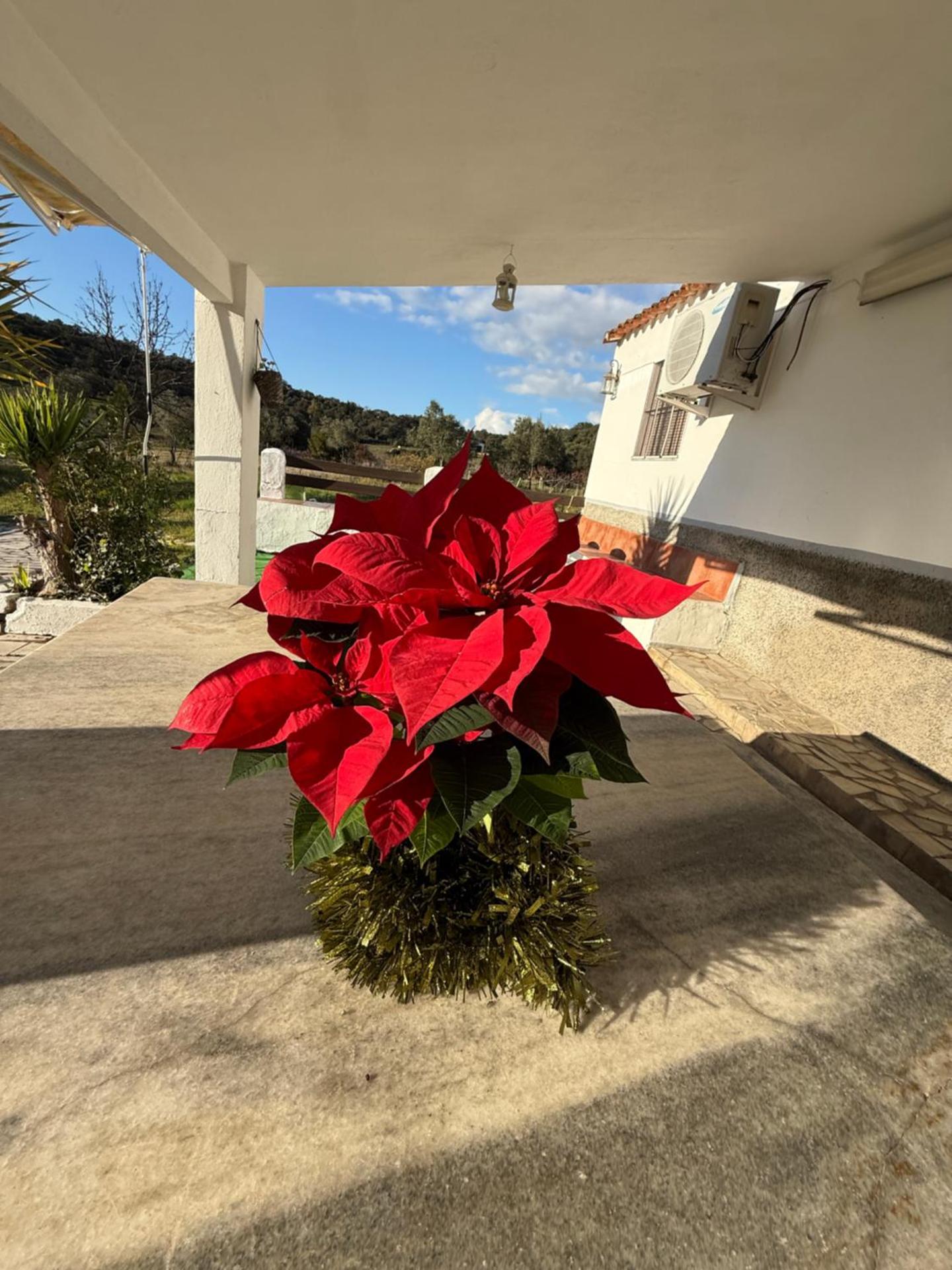La Blanca de Aroche 10 personas