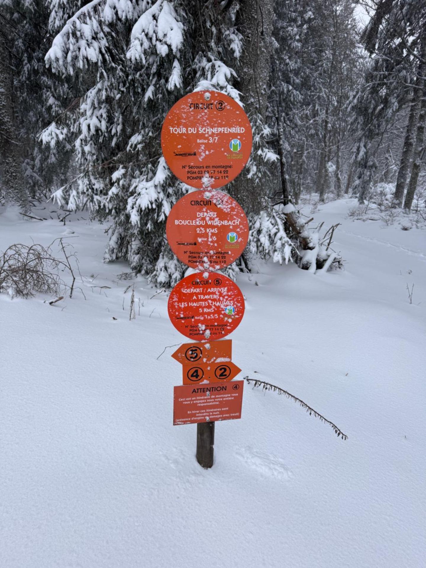 CHEZ LOU ET MAX : UN HAVRE DE PAIX.