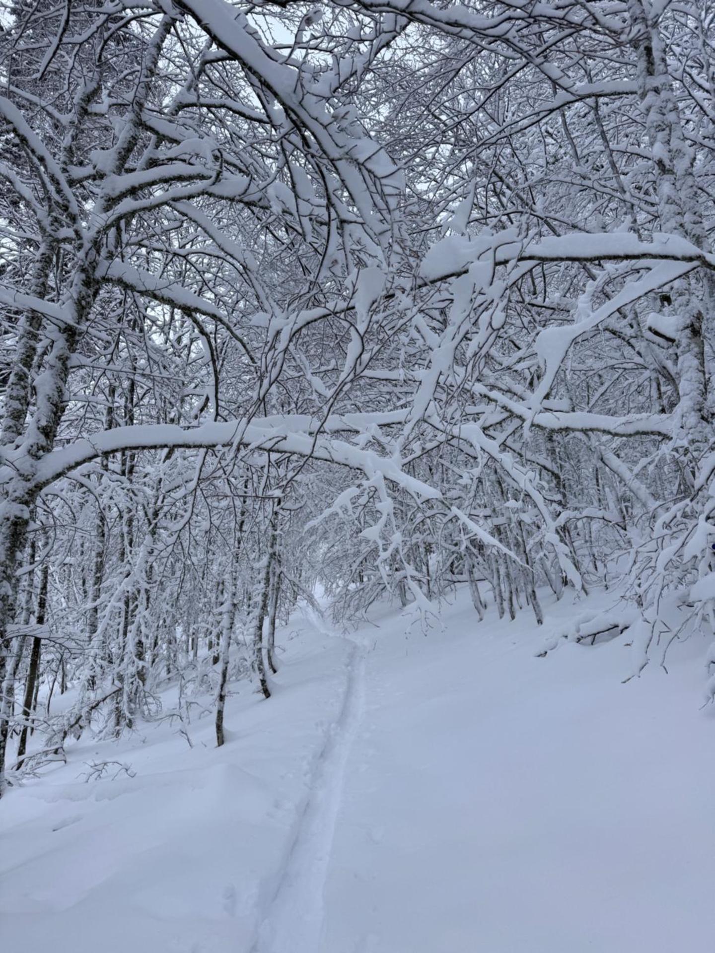 CHEZ LOU ET MAX : UN HAVRE DE PAIX.