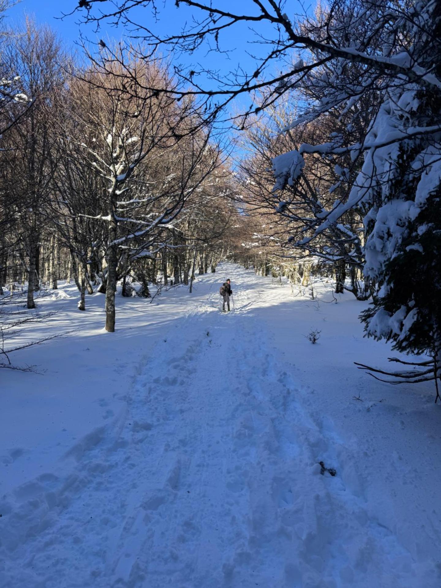 CHEZ LOU ET MAX : UN HAVRE DE PAIX.