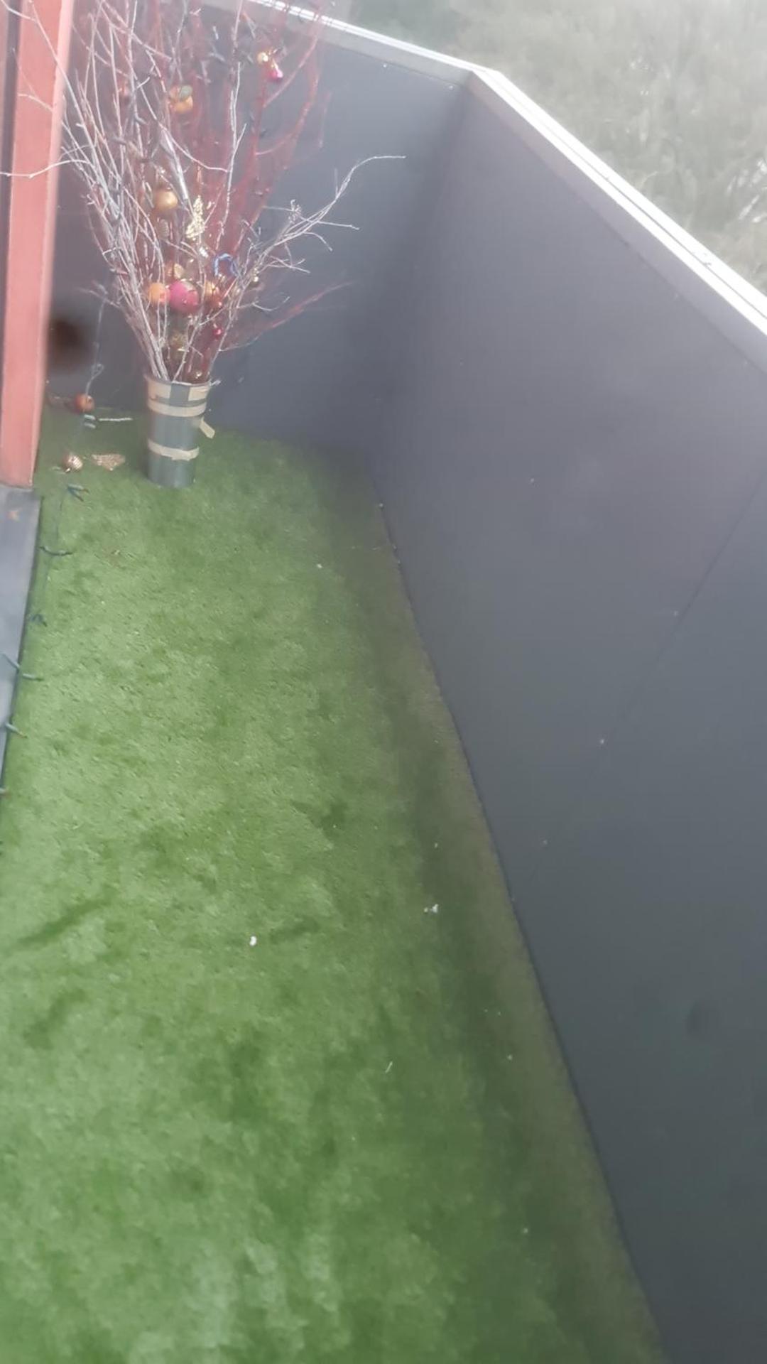 D'Chin Dorcelle Suite