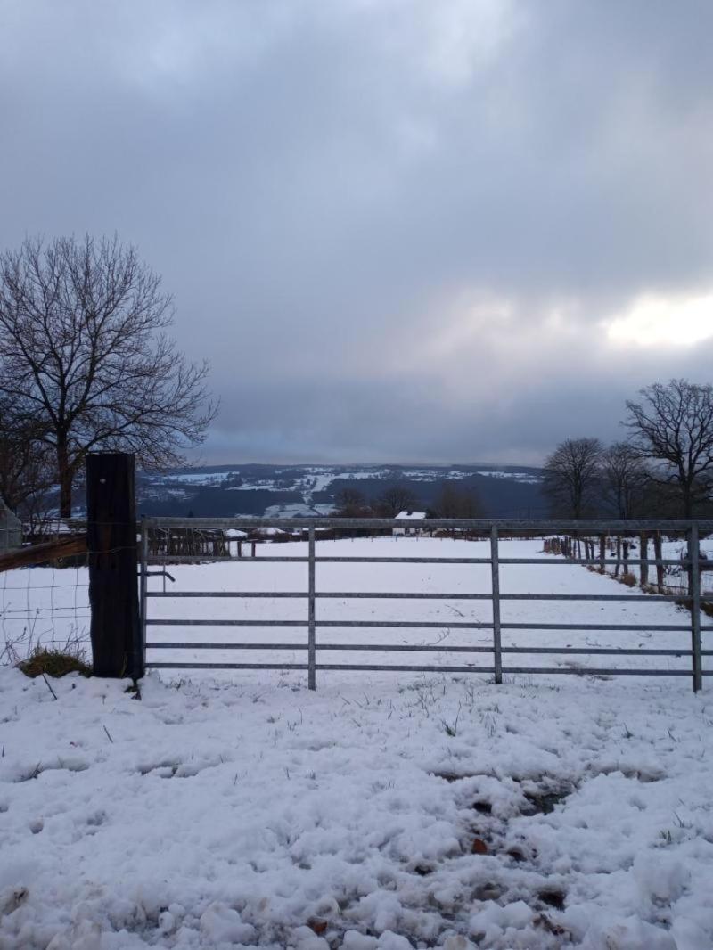 vakantieverblijf Nature