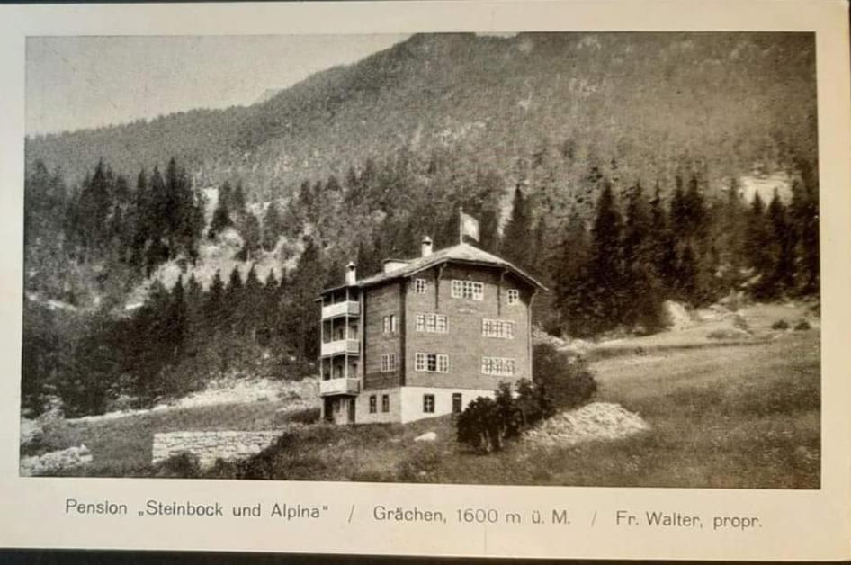 Hotel Alpina