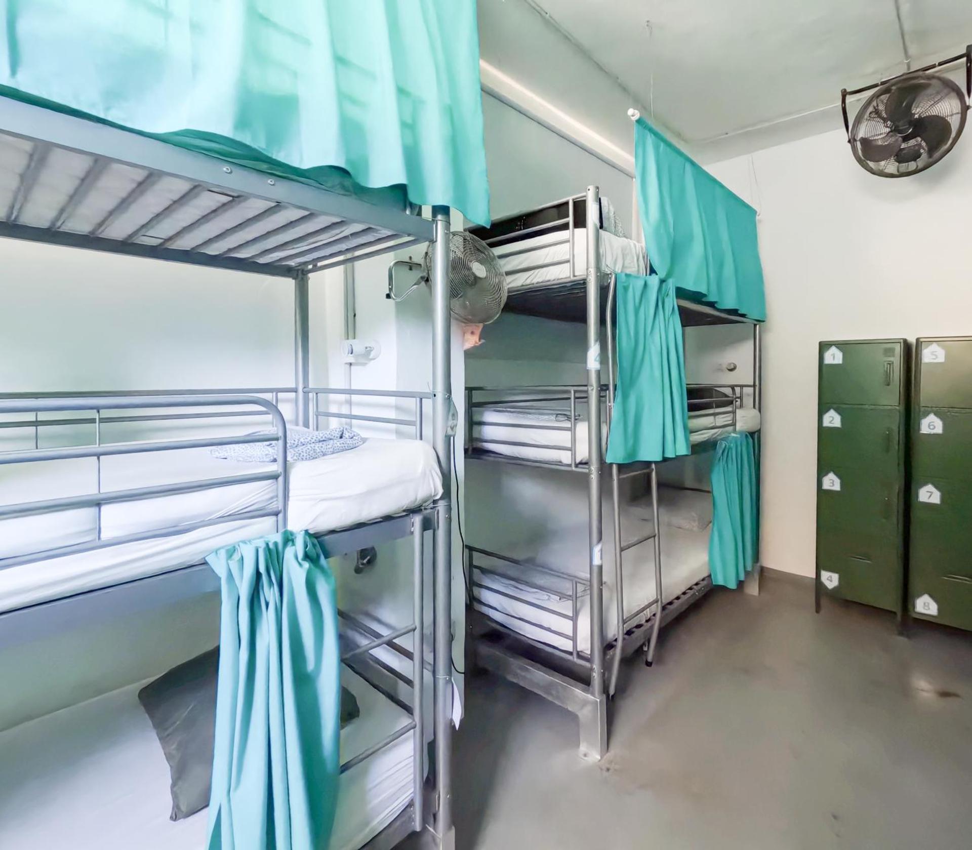 Bunk Bed in Mixed Dormitory Room