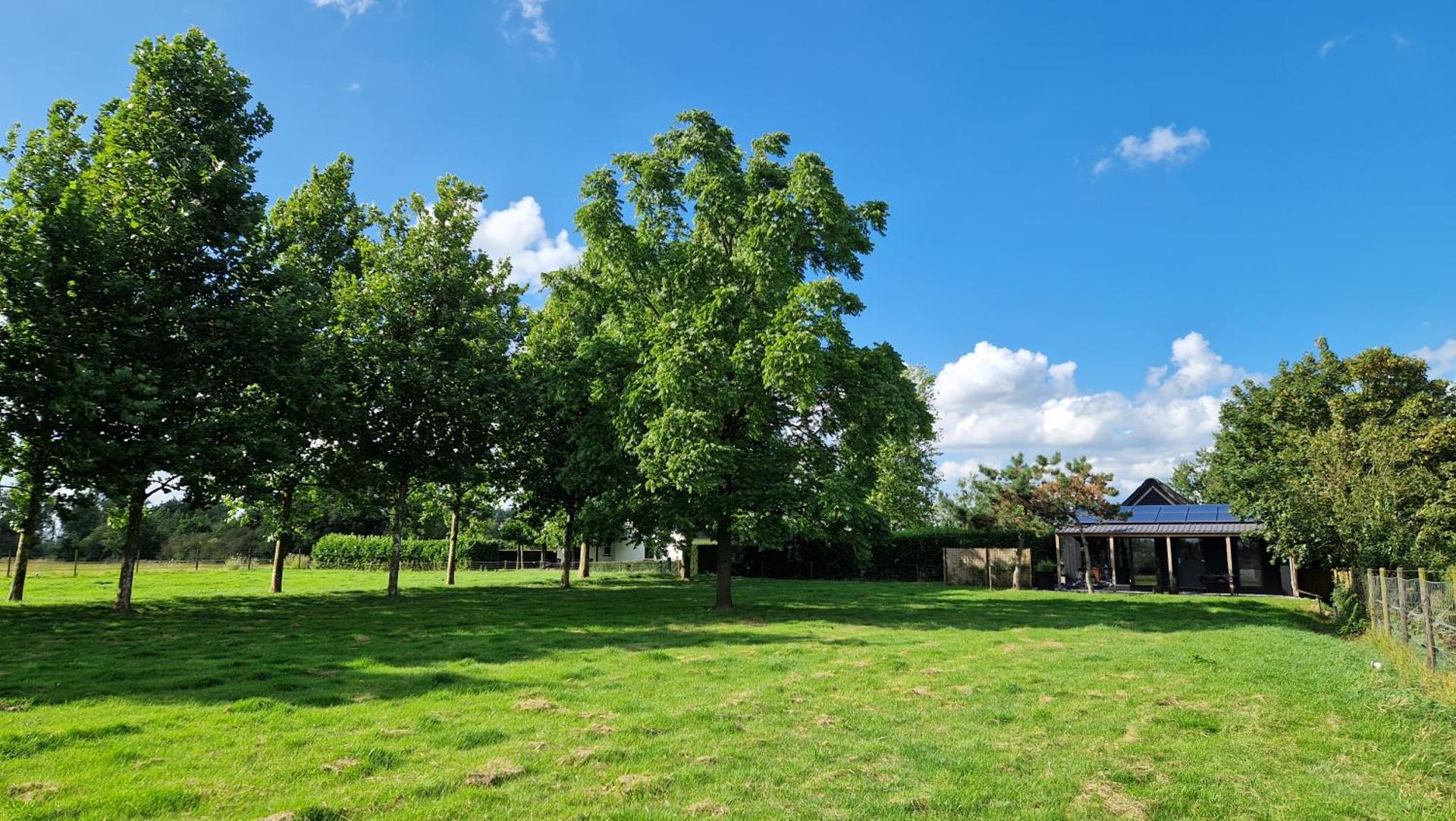 Chalet de Scherpenweide