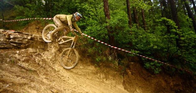 Apartment Bella Vista 2