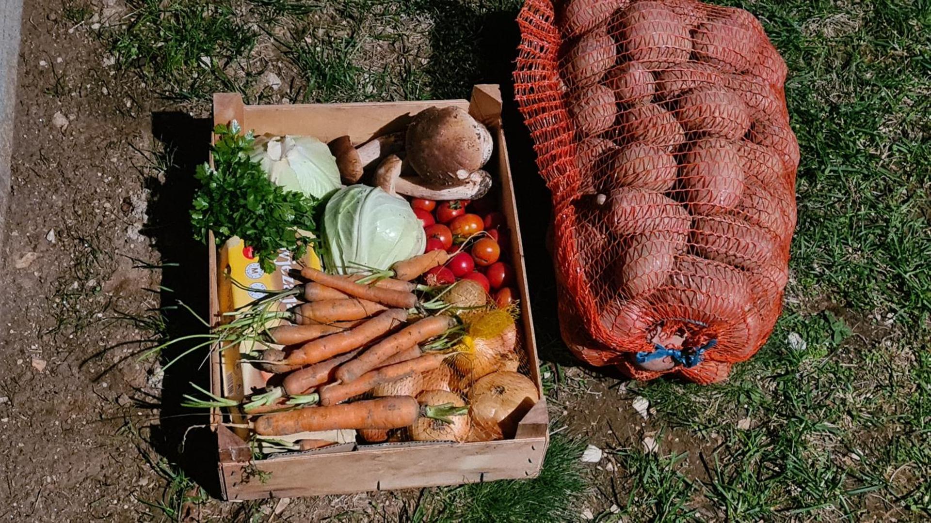 Forestside House Gacka with relax area
