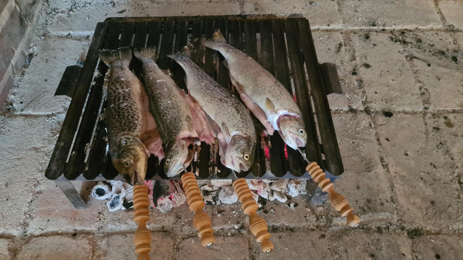 Forestside House Gacka with relax area