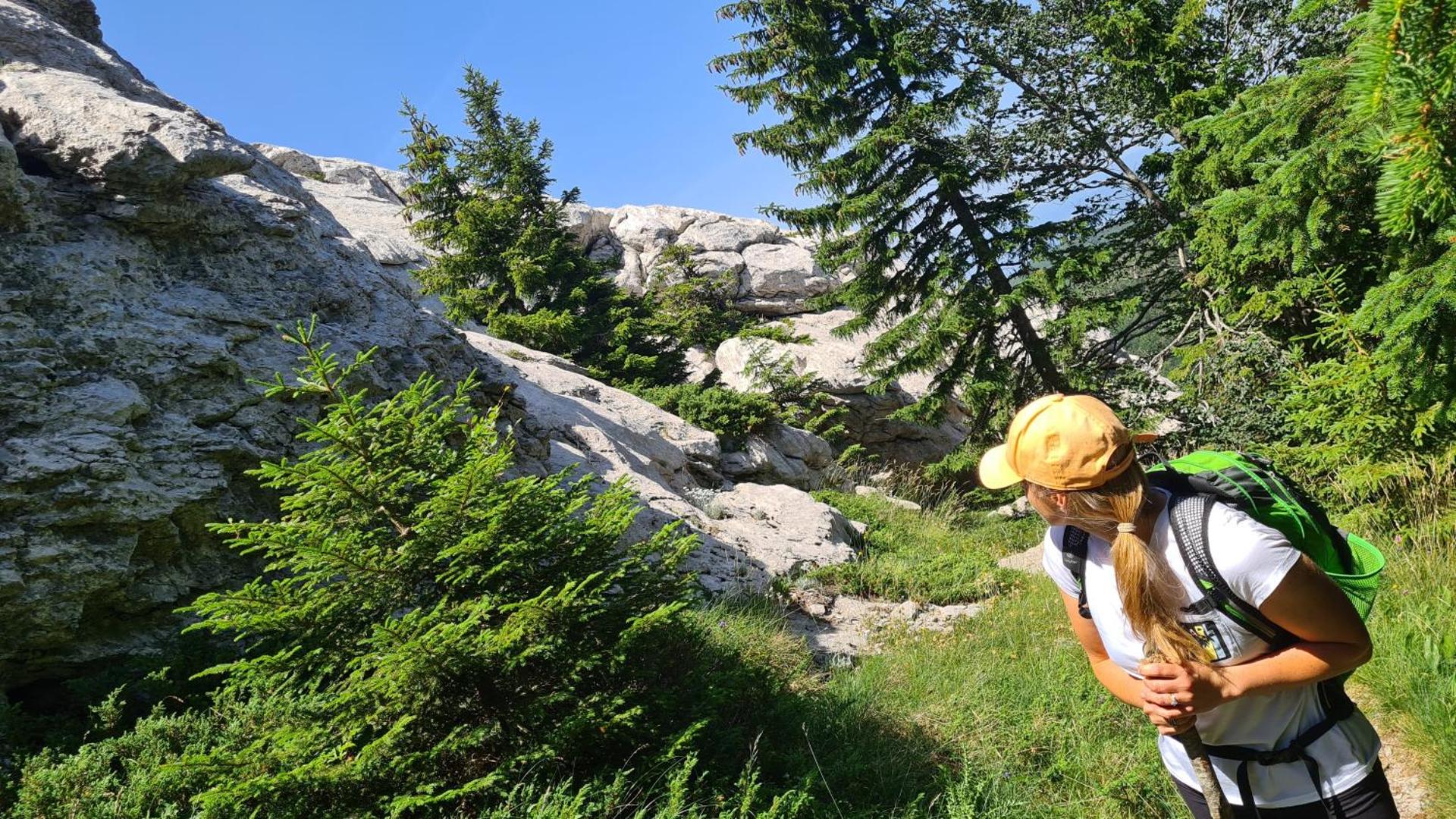 Forestside House Gacka with relax area
