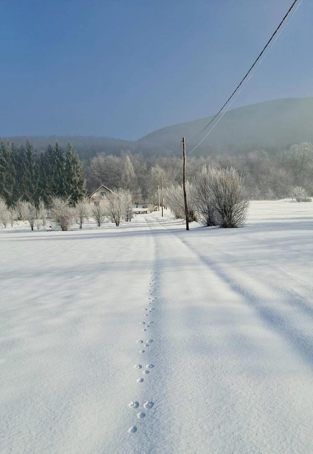 Forestside House Gacka with relax area