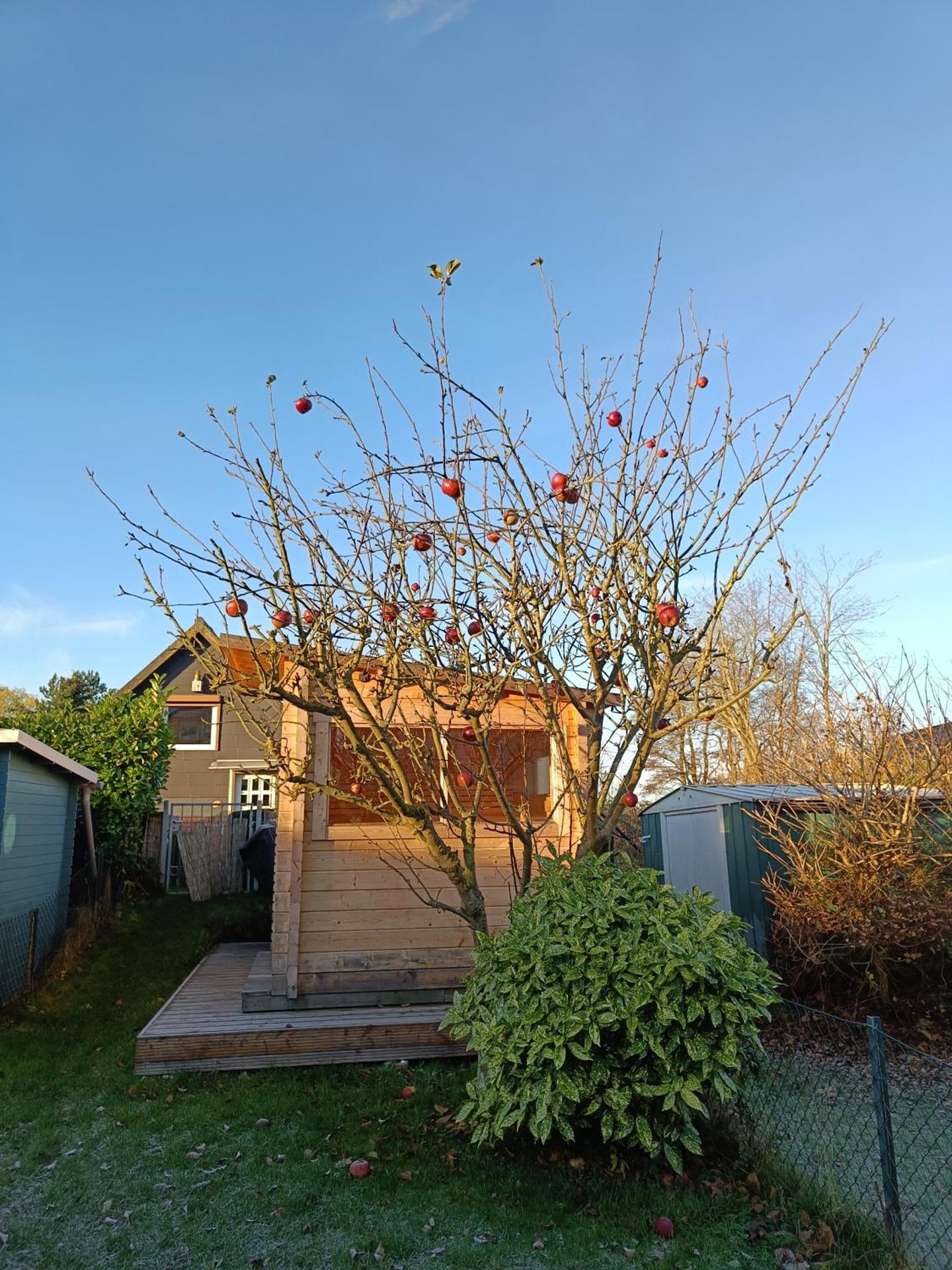 Beachhouse mit privater Sauna und Kamin, 700m zum Strand