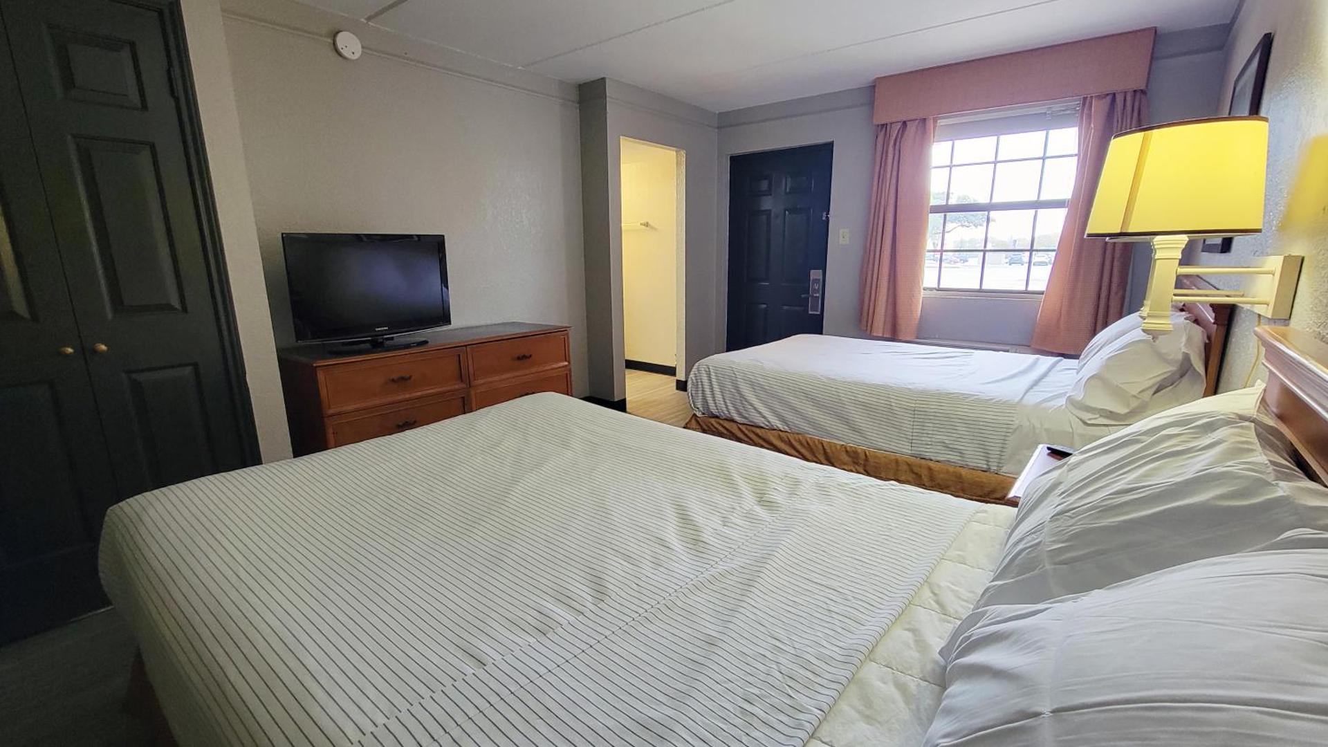 Flex Studios Culebra