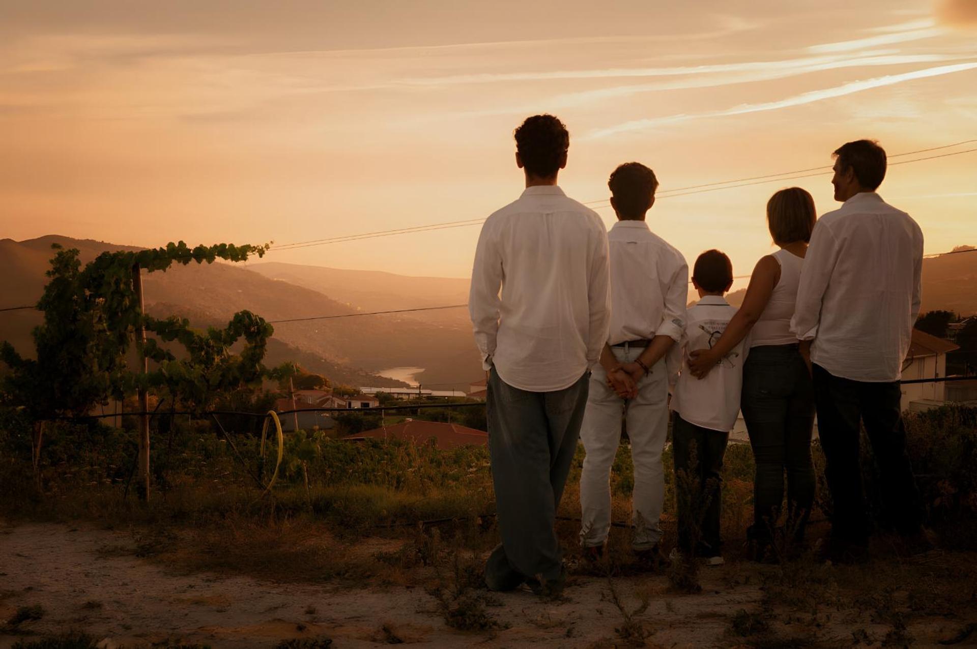 View (from property/room)