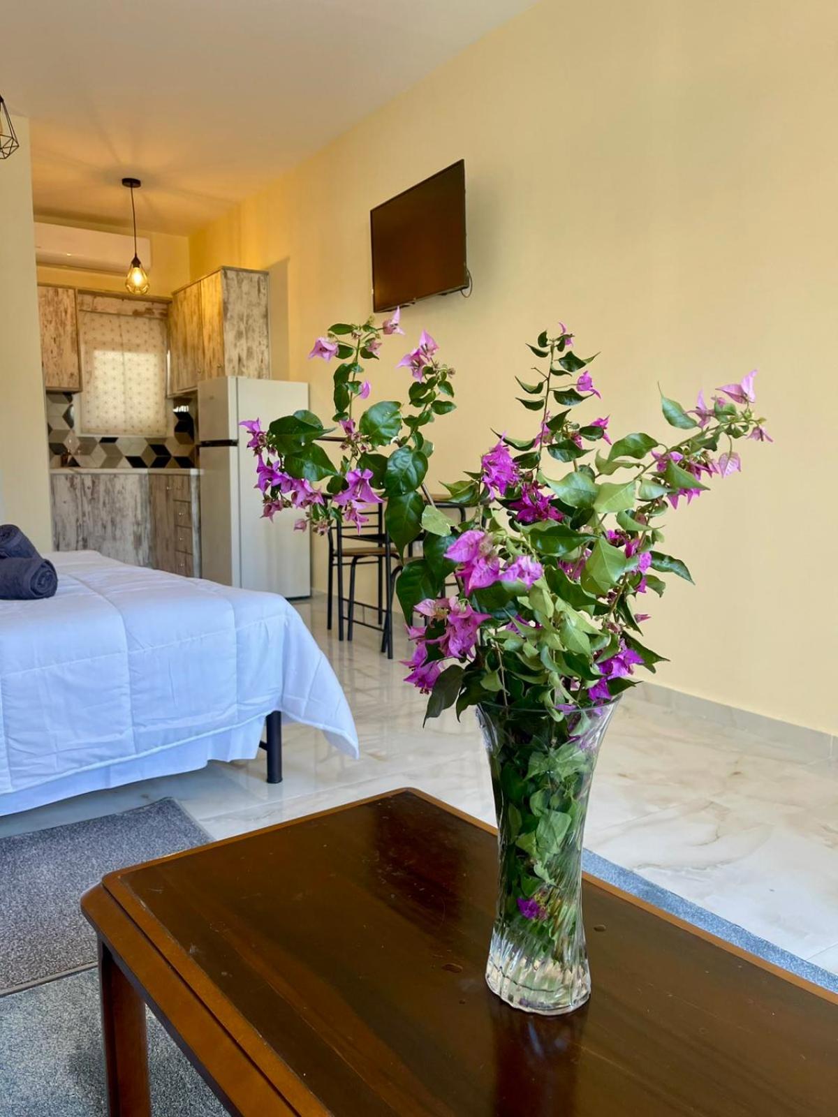 Ivory Escape Apartment - ATH Airport