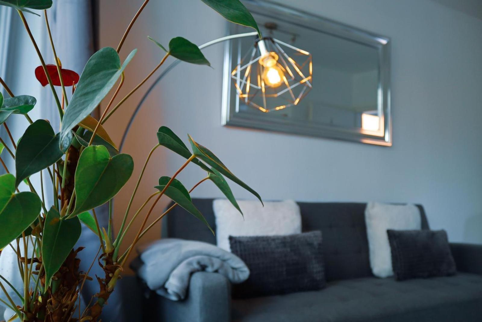 Appartement an der Ilmenau