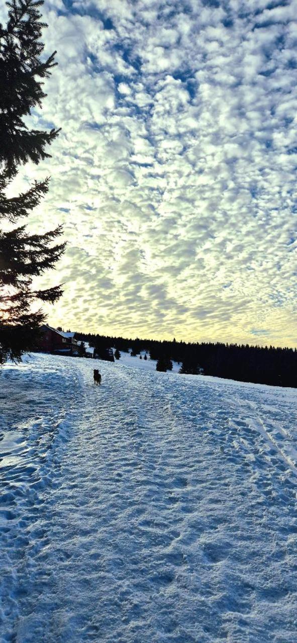 Przystanek na Szlaku