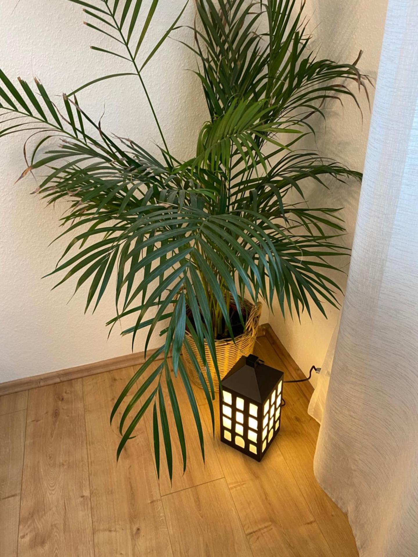 Ferienwohnung Rickelhoff