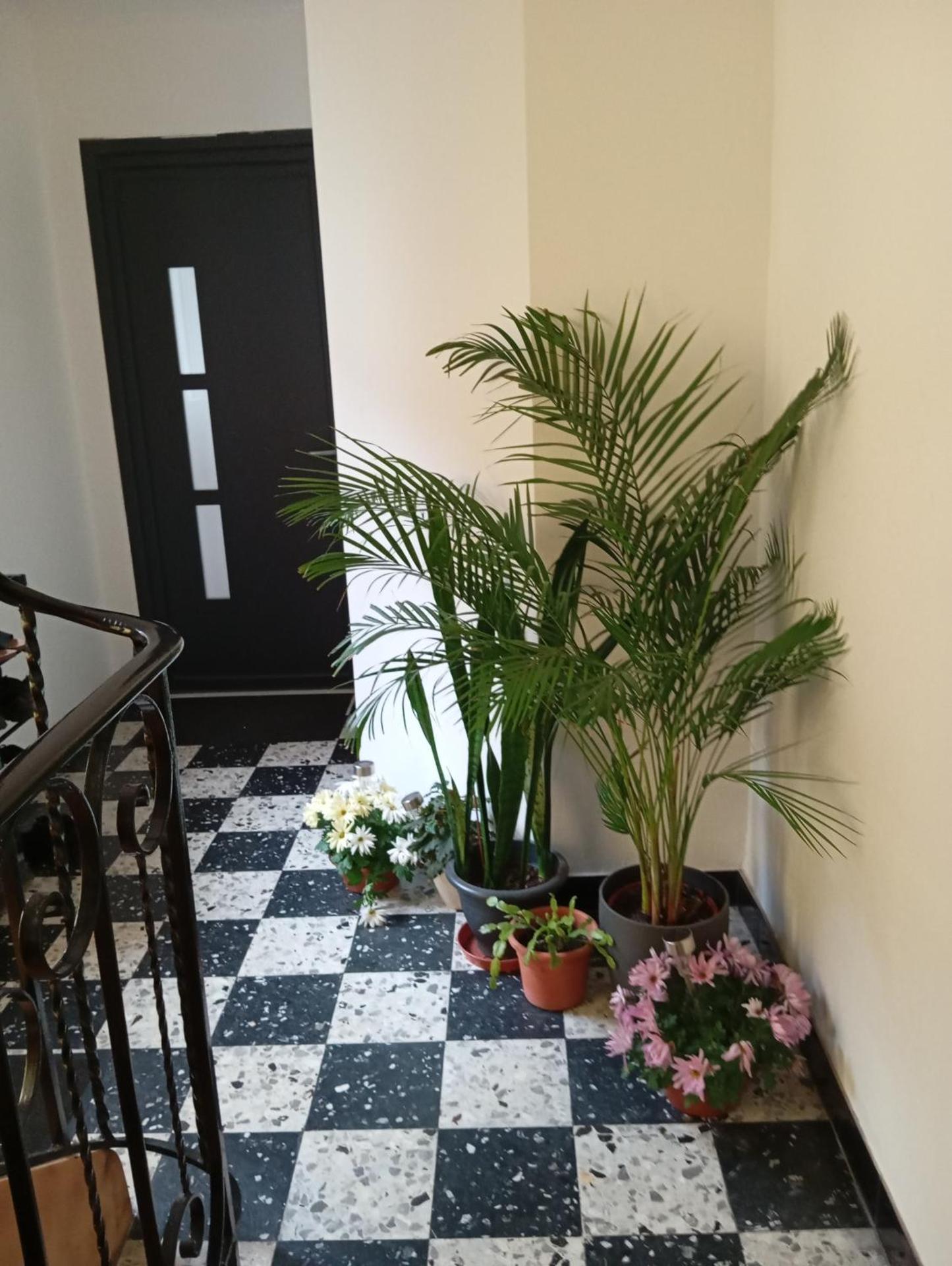 Les charmes de la Kirneck