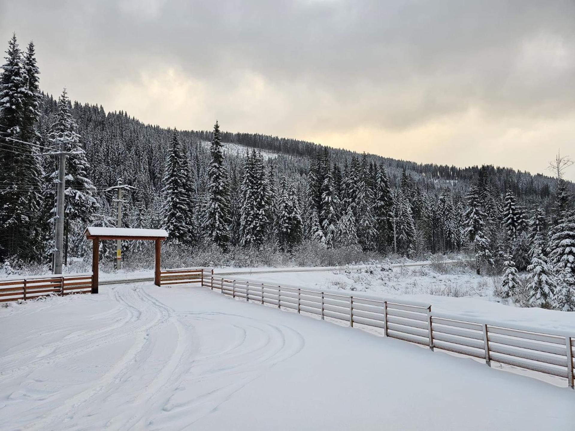 Triple room with Balcony Transalpina Ski Resort - TRI1