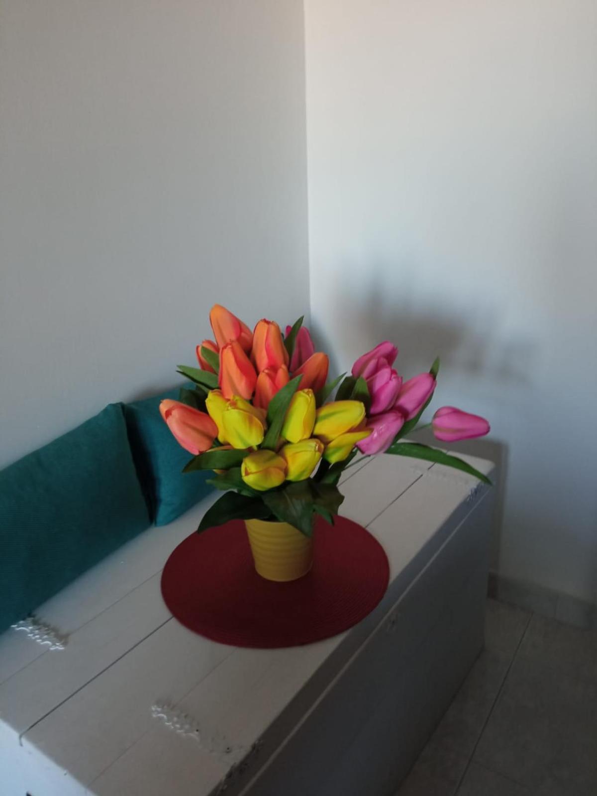 A casa di Frida & Mika - COMODO PUNTO DI SOSTA - Vicino a tutti i servizi - a 20 minuti dall'autostrada