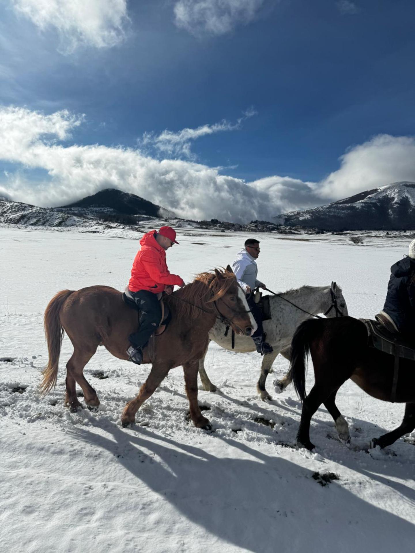 Project House appartamento Relax