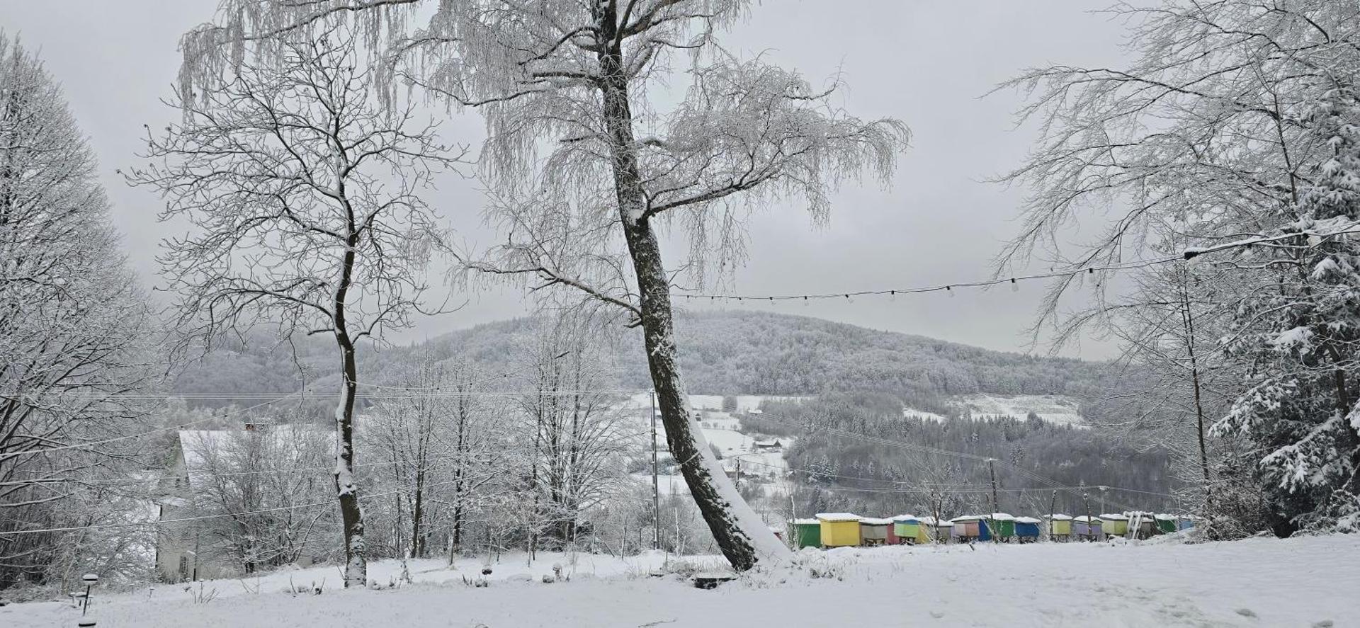Chałupa na Wierzchowinie