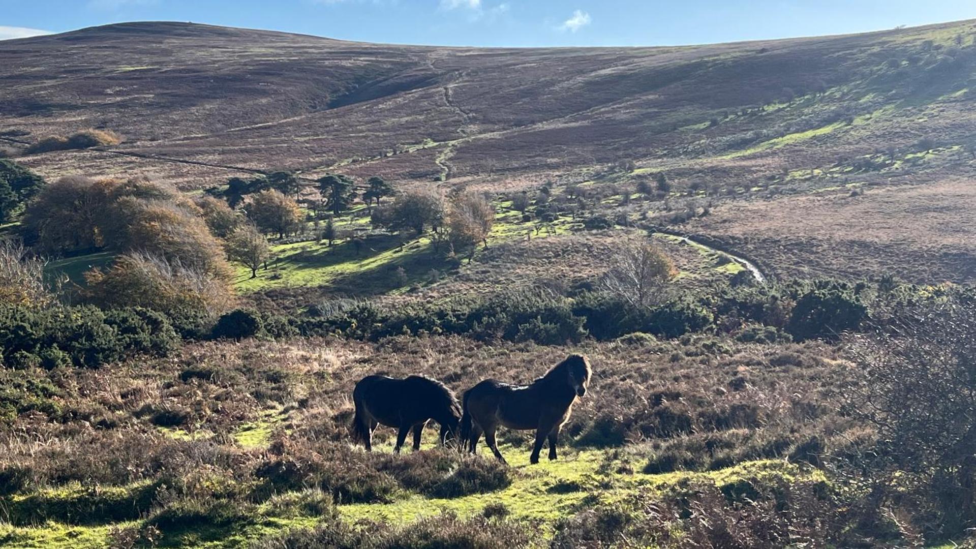 Exmoor retreat on Two Moors Way