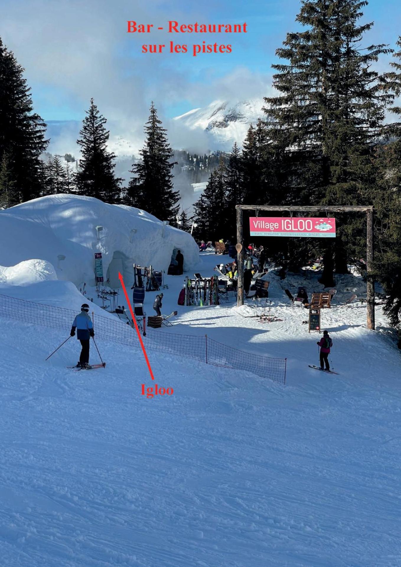 Avoriaz au pied des pistes et des commerces, secteur Falaise, Immeuble Neva