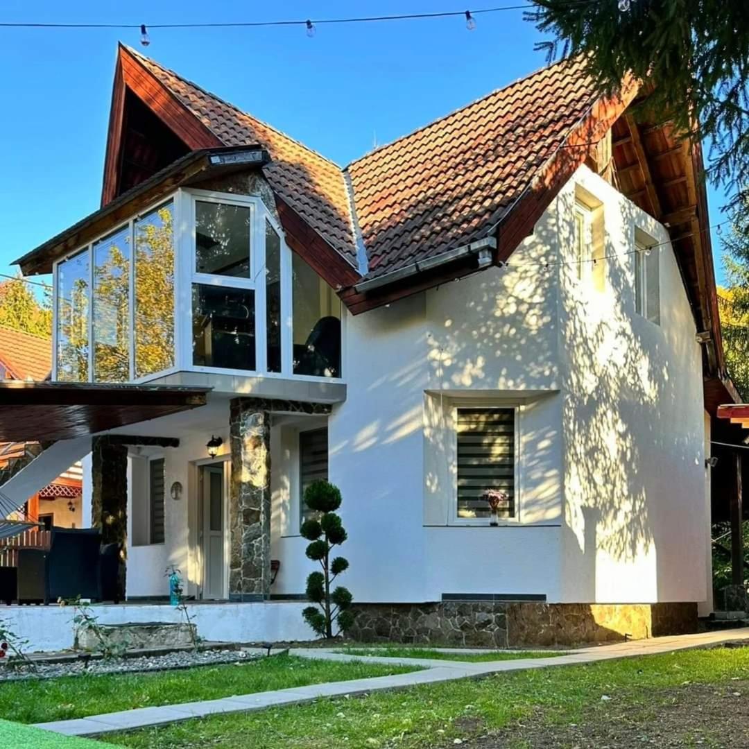 Pool House Gălăoaia-Cabană la poalele Munțiilor Călimani