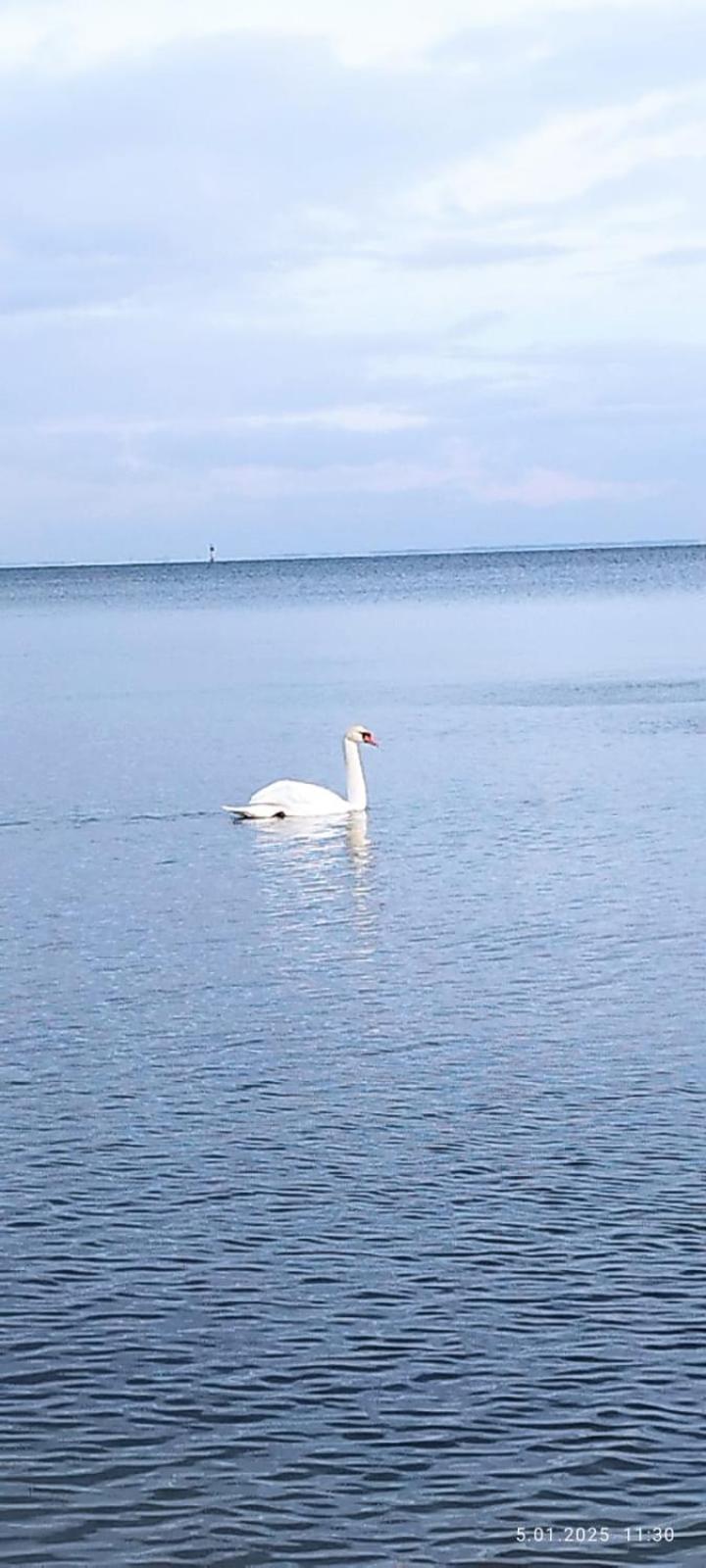 Magda Aparthotel Anchoria Mechelinki