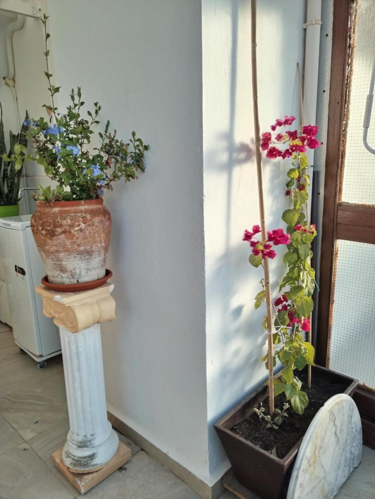 Ático Playa Cullera