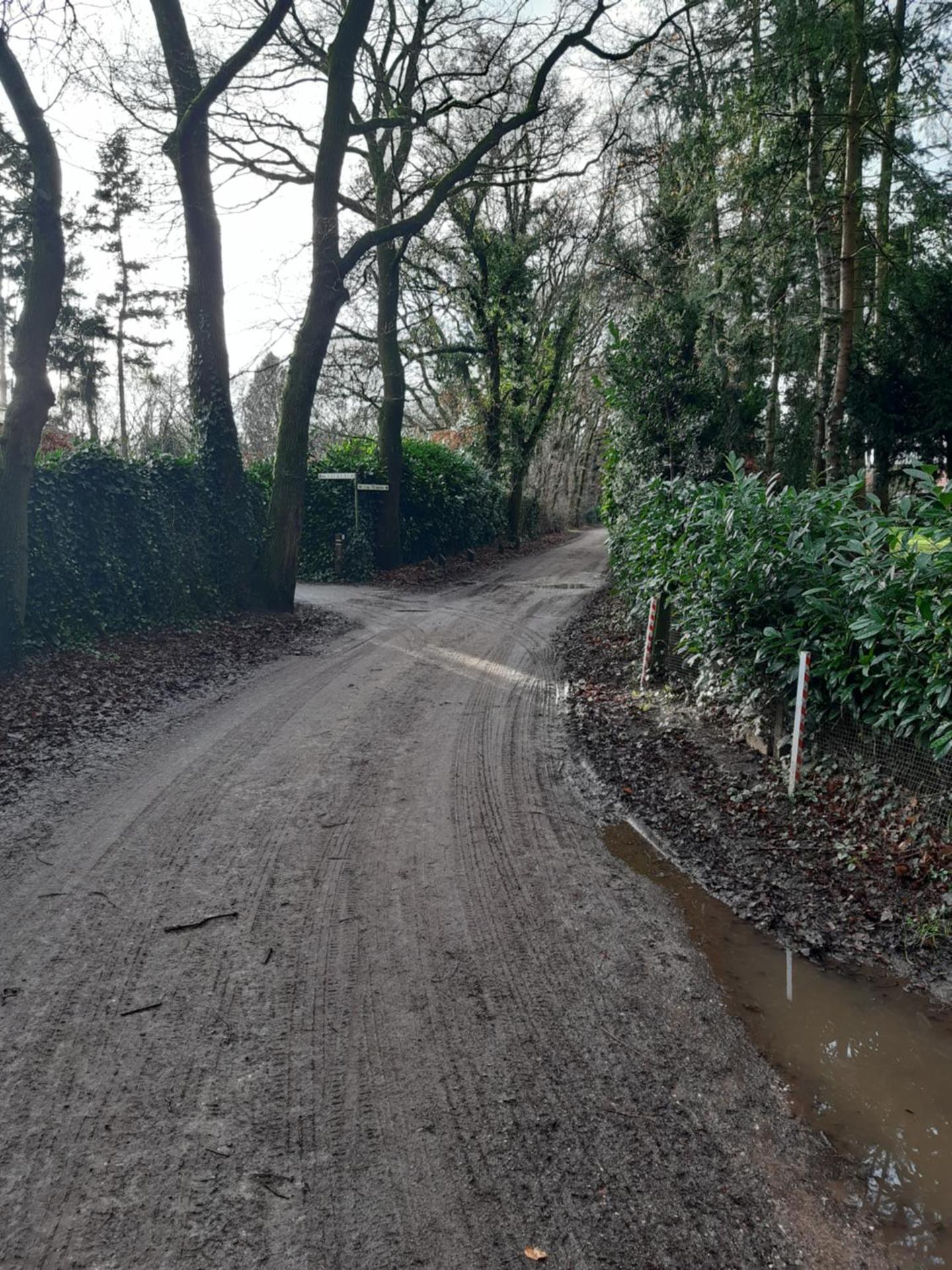 Huinerhofje 3 - Vrijstaand, grote tuin, rust en veel privacy nabij uitgestrekte bossen