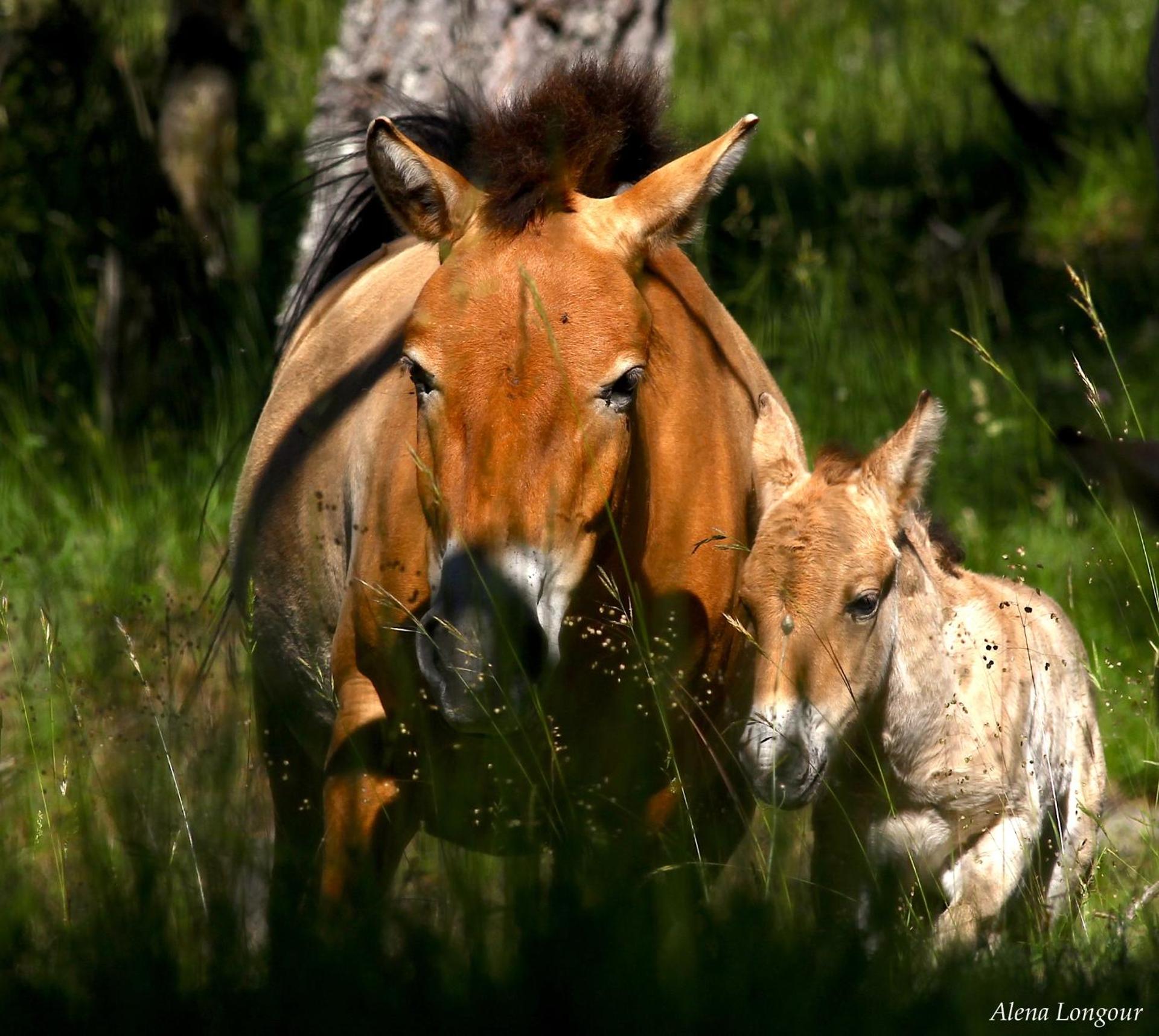 Reserve des Monts d'Azur