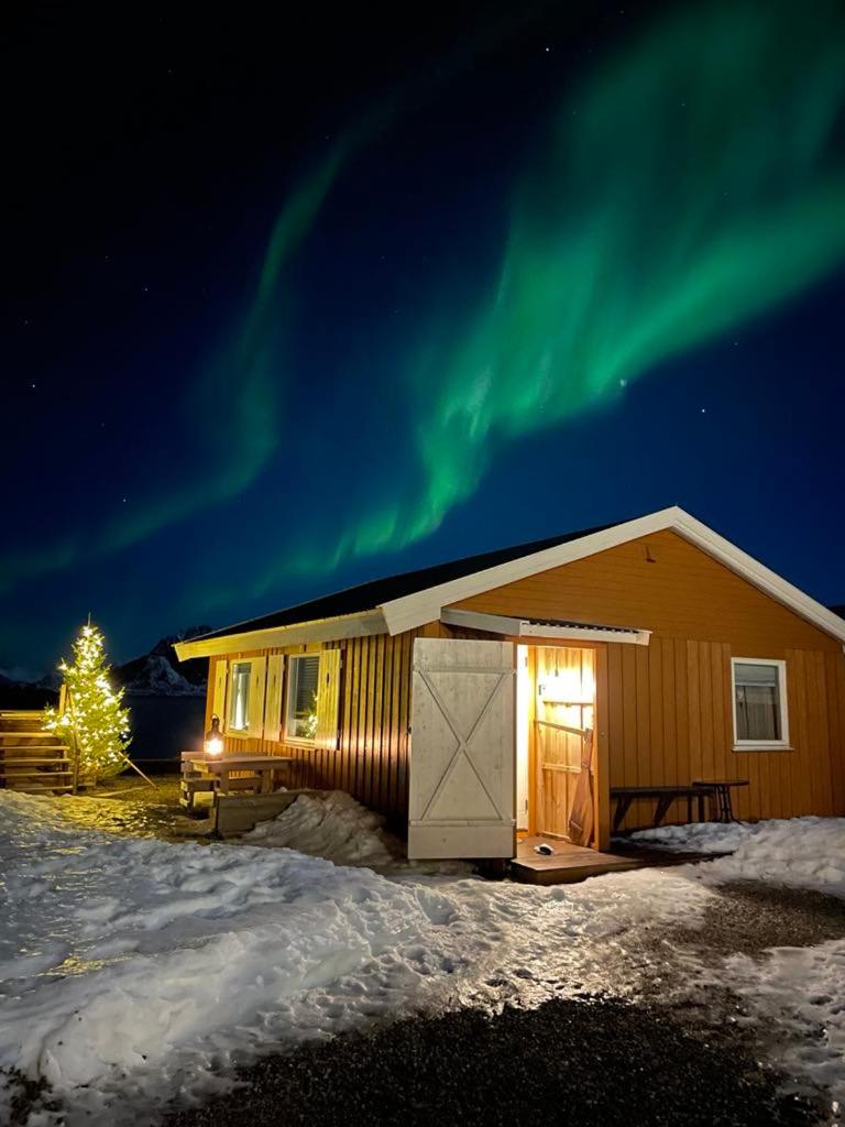 Lofoten Sunset Large Appartments
