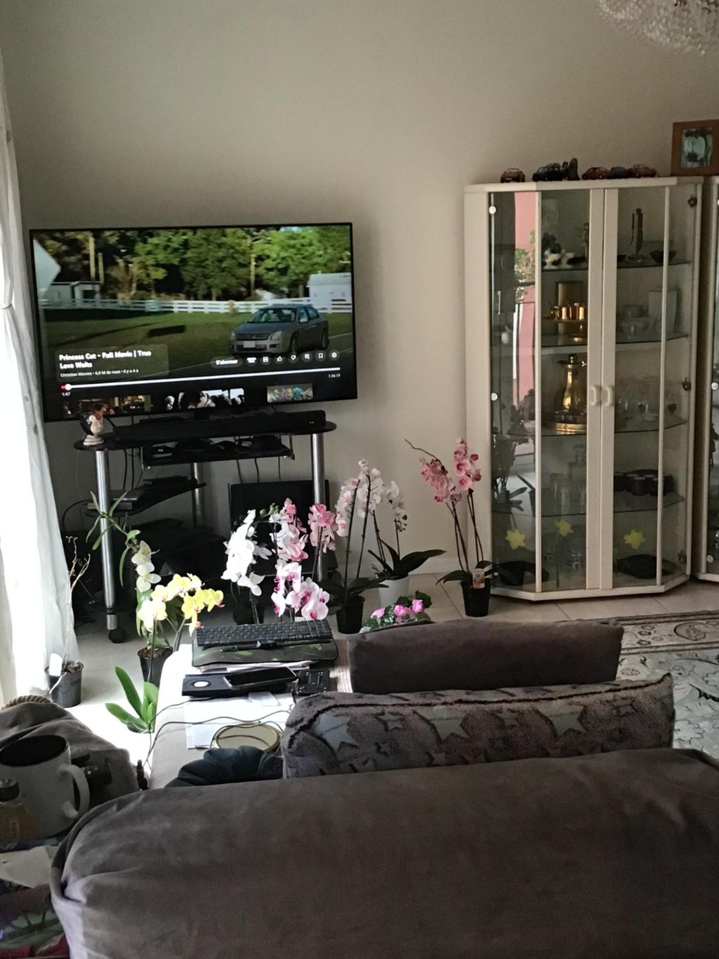 Nice port quartier antiquaire