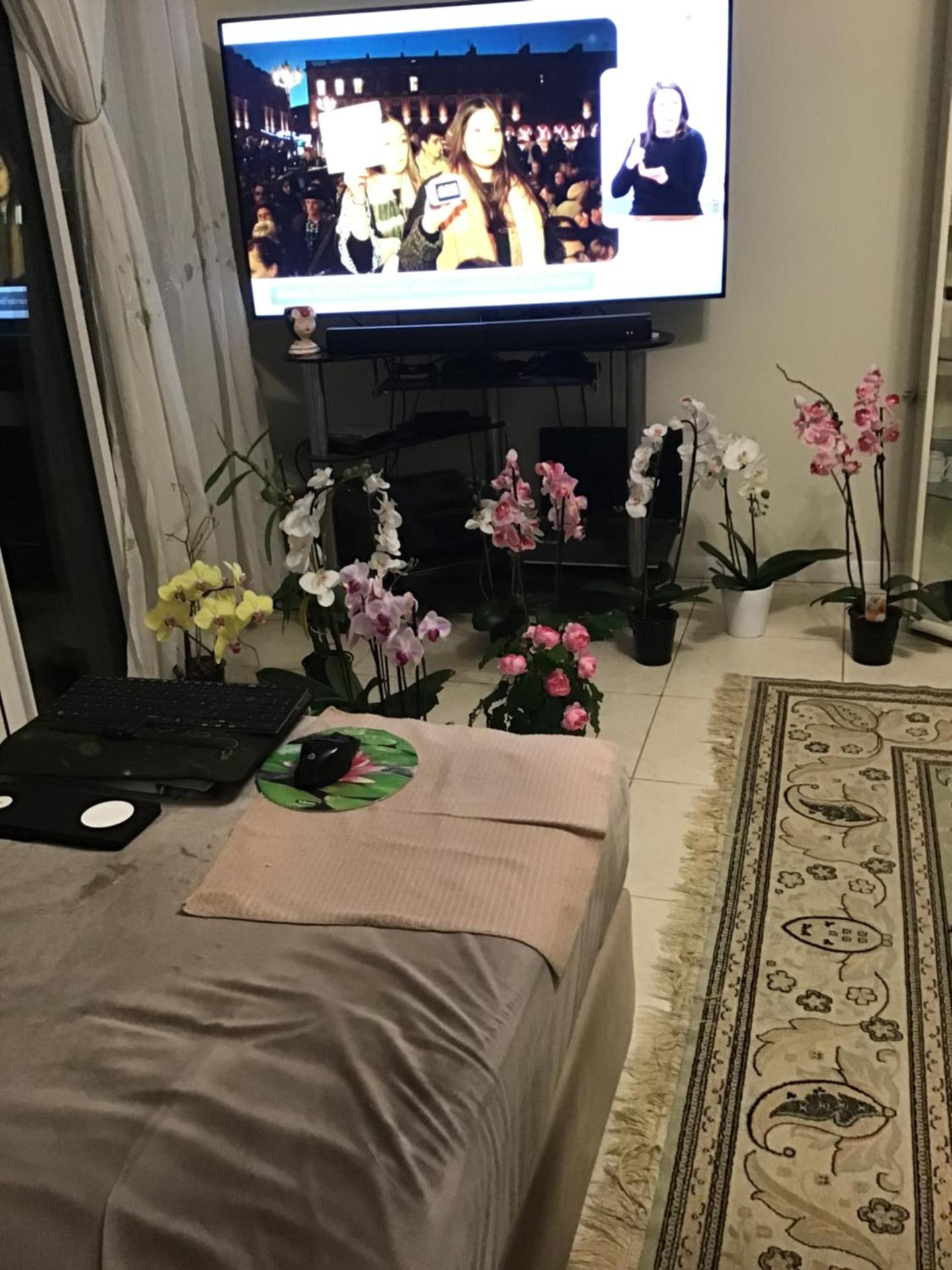 Nice port quartier antiquaire