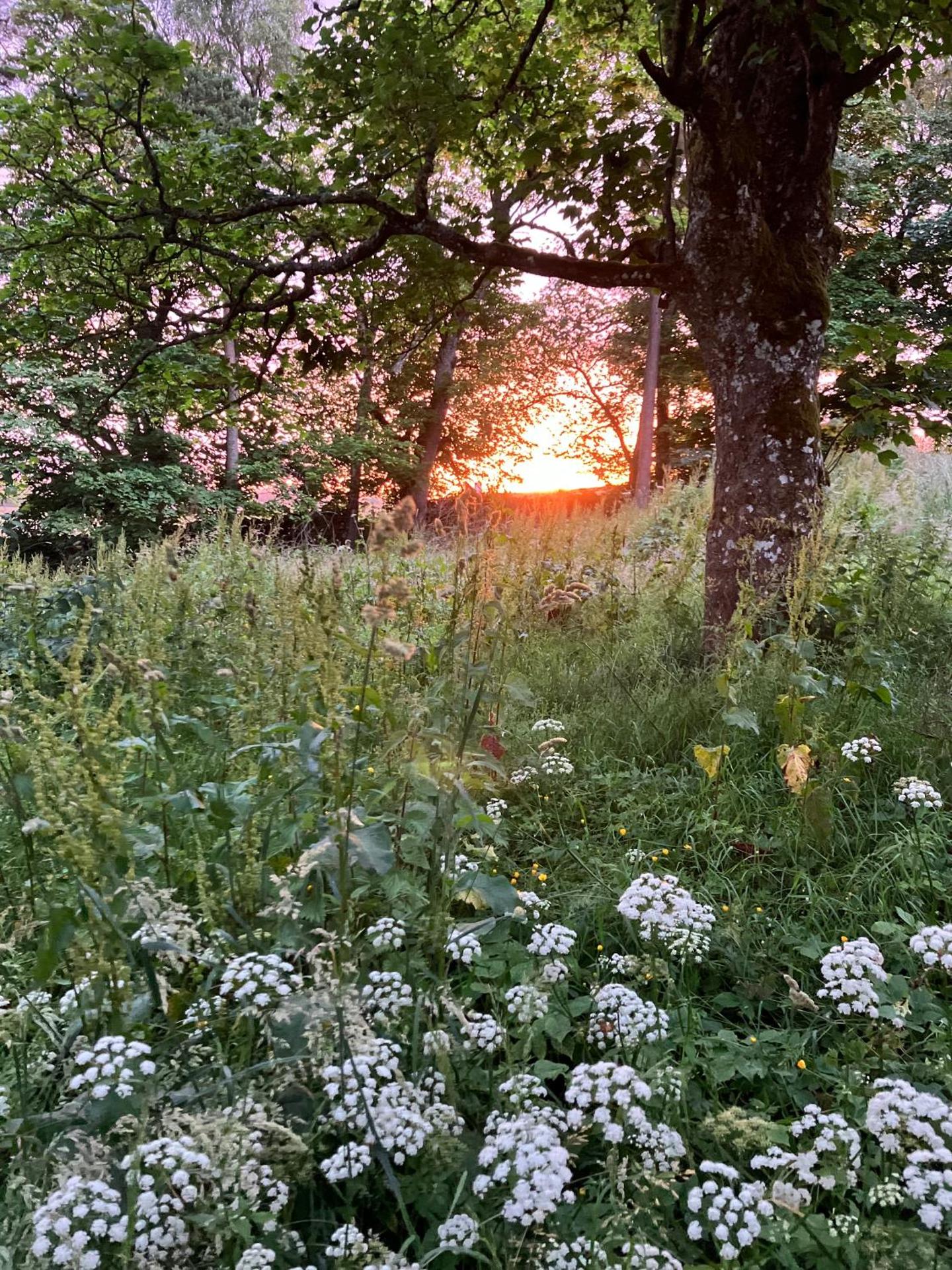 Elishaw Farm Holiday Cottages