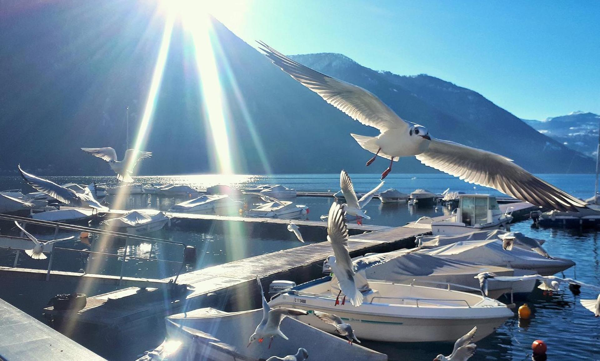 Il Giardino di Lilly