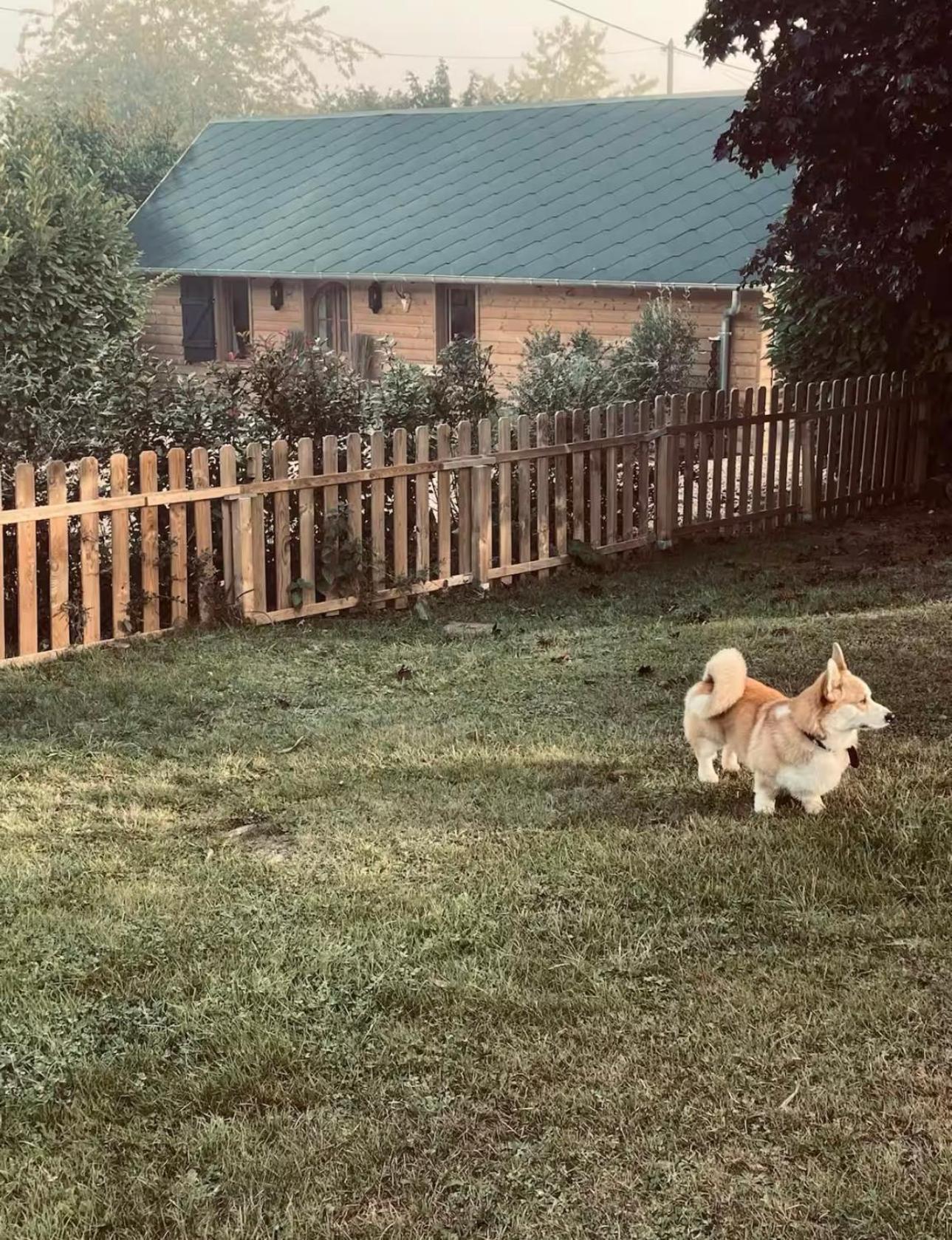 Cottage Normand avec sa grande piscine chauffée toute l année sur parc arboré et clos En plein coeur de la campagne adapté aux kids et Dog friendly