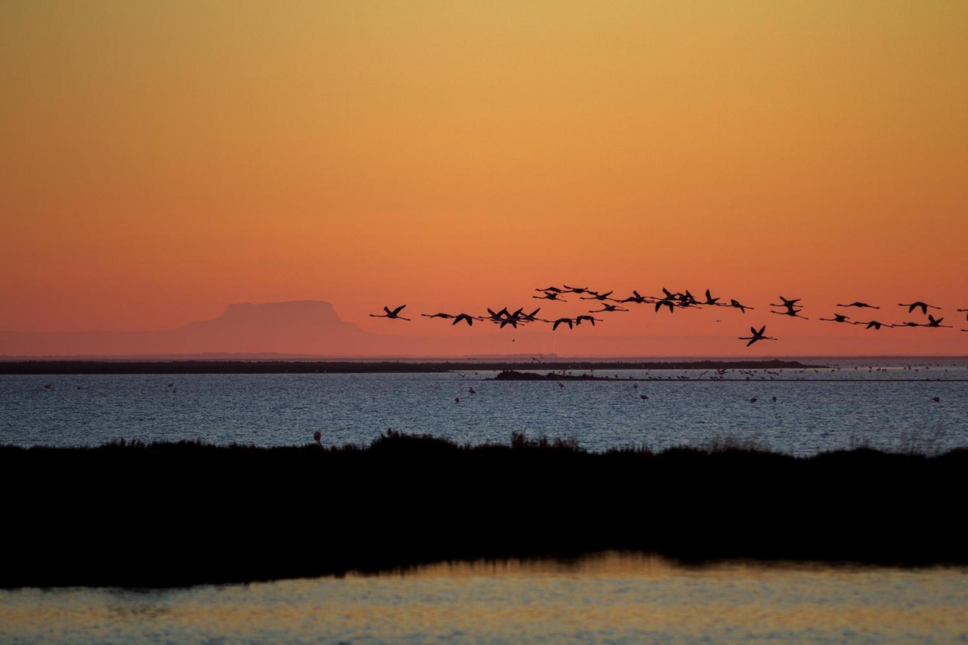 Appartement "La Rose des Vents"