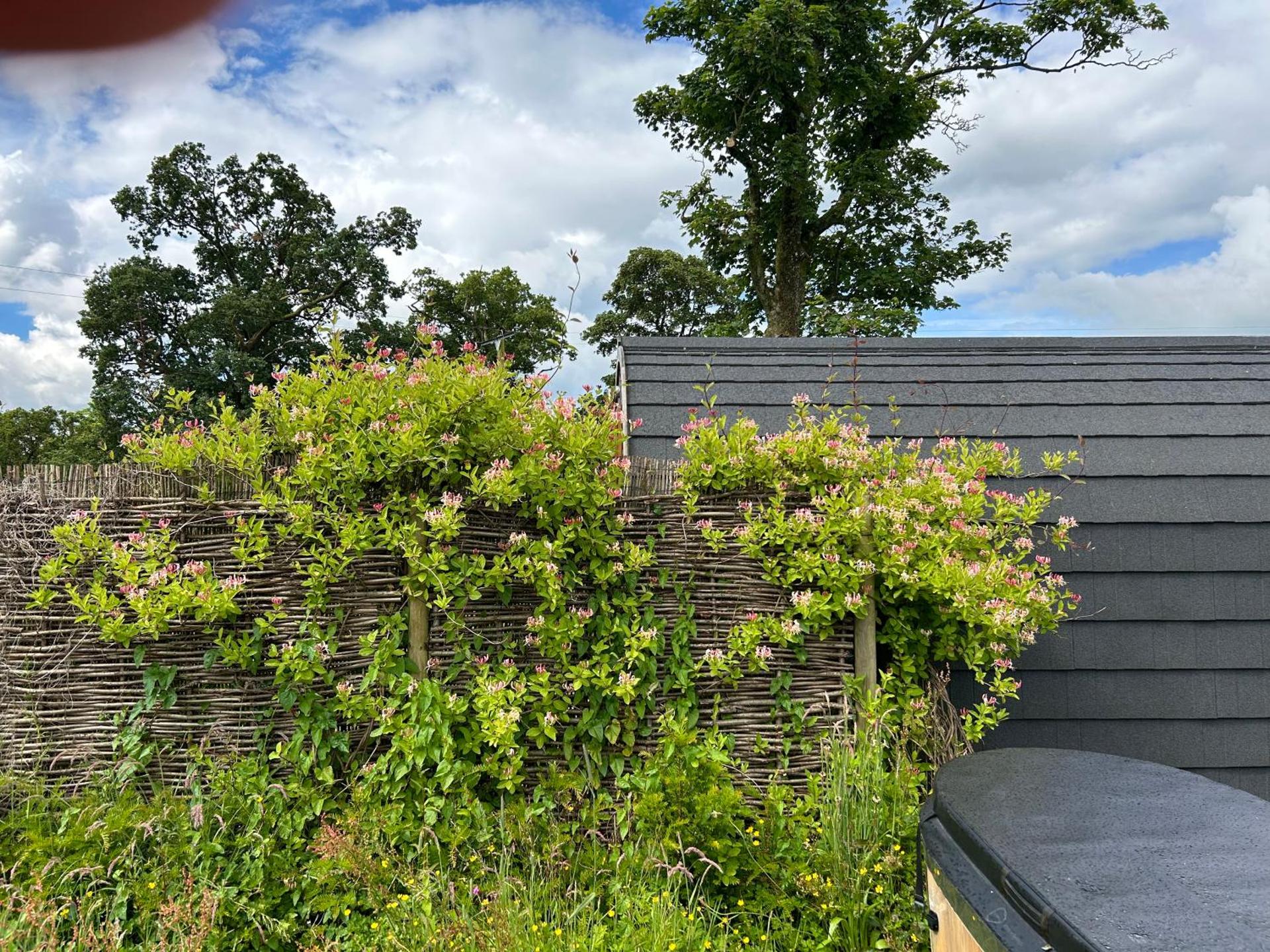 Luxury Glamping Pod - Garthside Farm Holidays