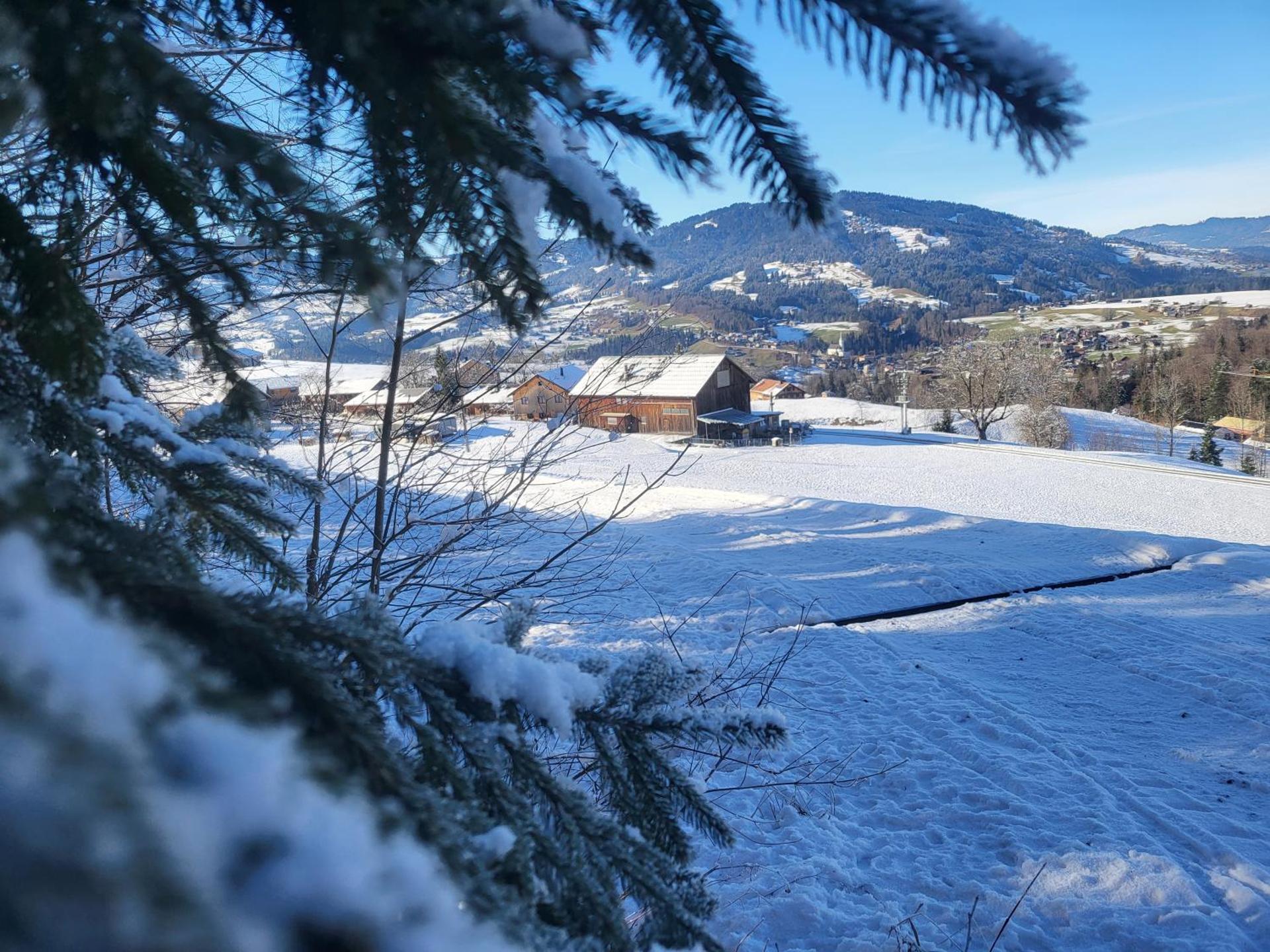 View (from property/room)