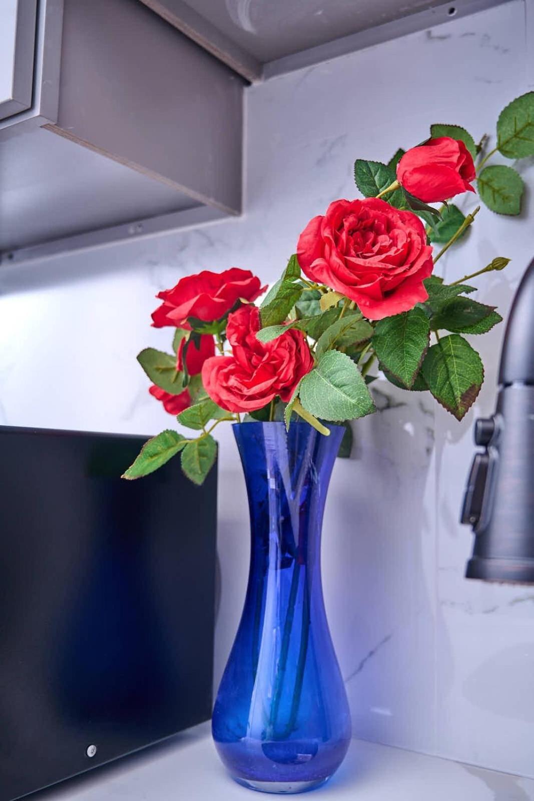 Wild Romance Hideaway 5 MIN Away from Downtown