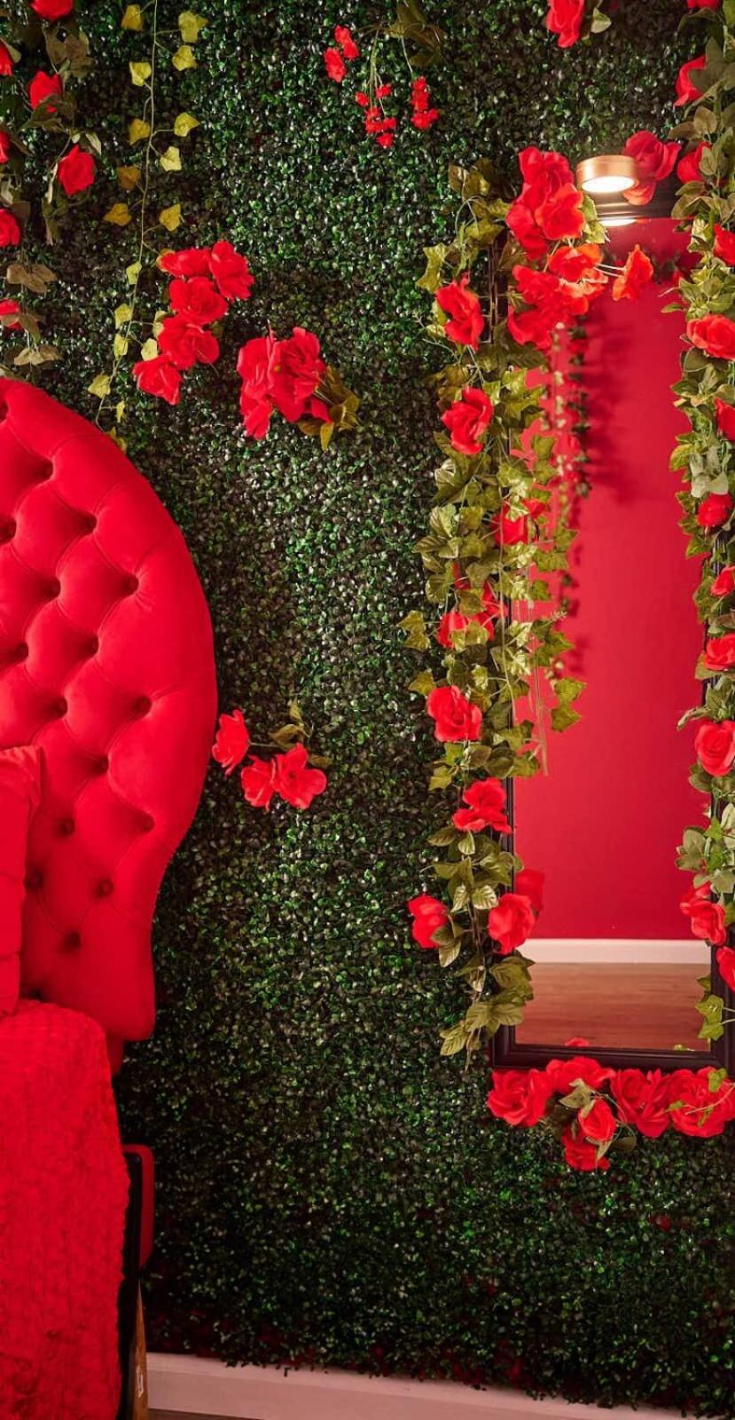 Wild Romance Hideaway 5 MIN Away from Downtown