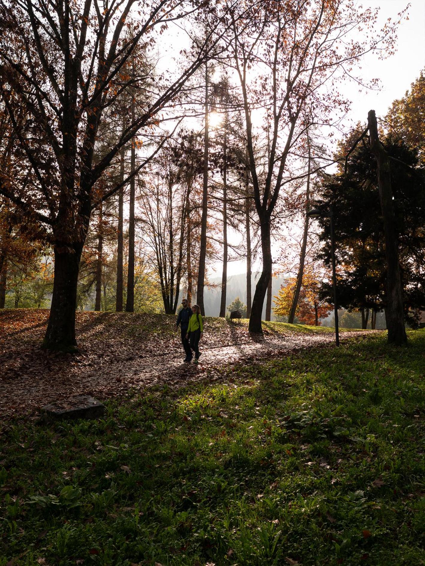 Innesti Rooms&Apartments - Le camere