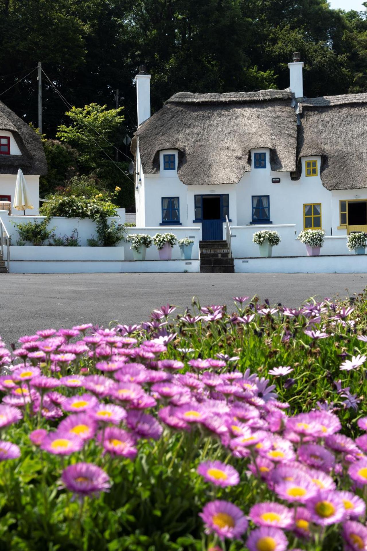 Dunmore East Ocean View Suite