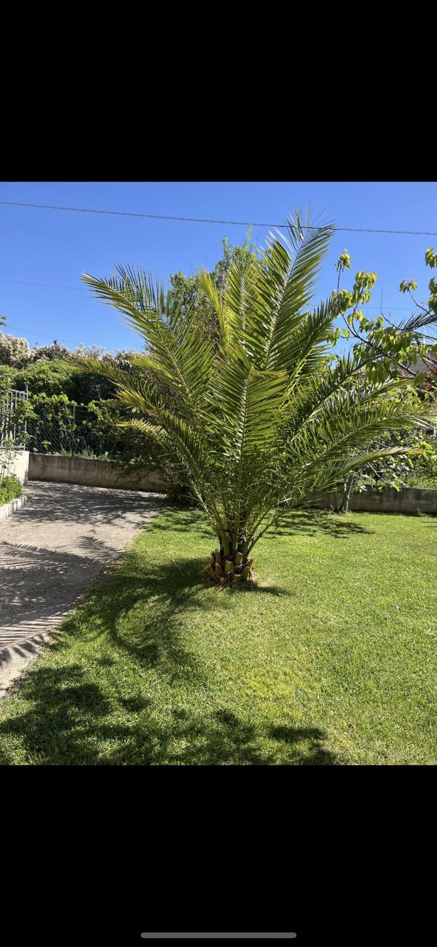 Villa climatisé avec piscine et jacuzzi