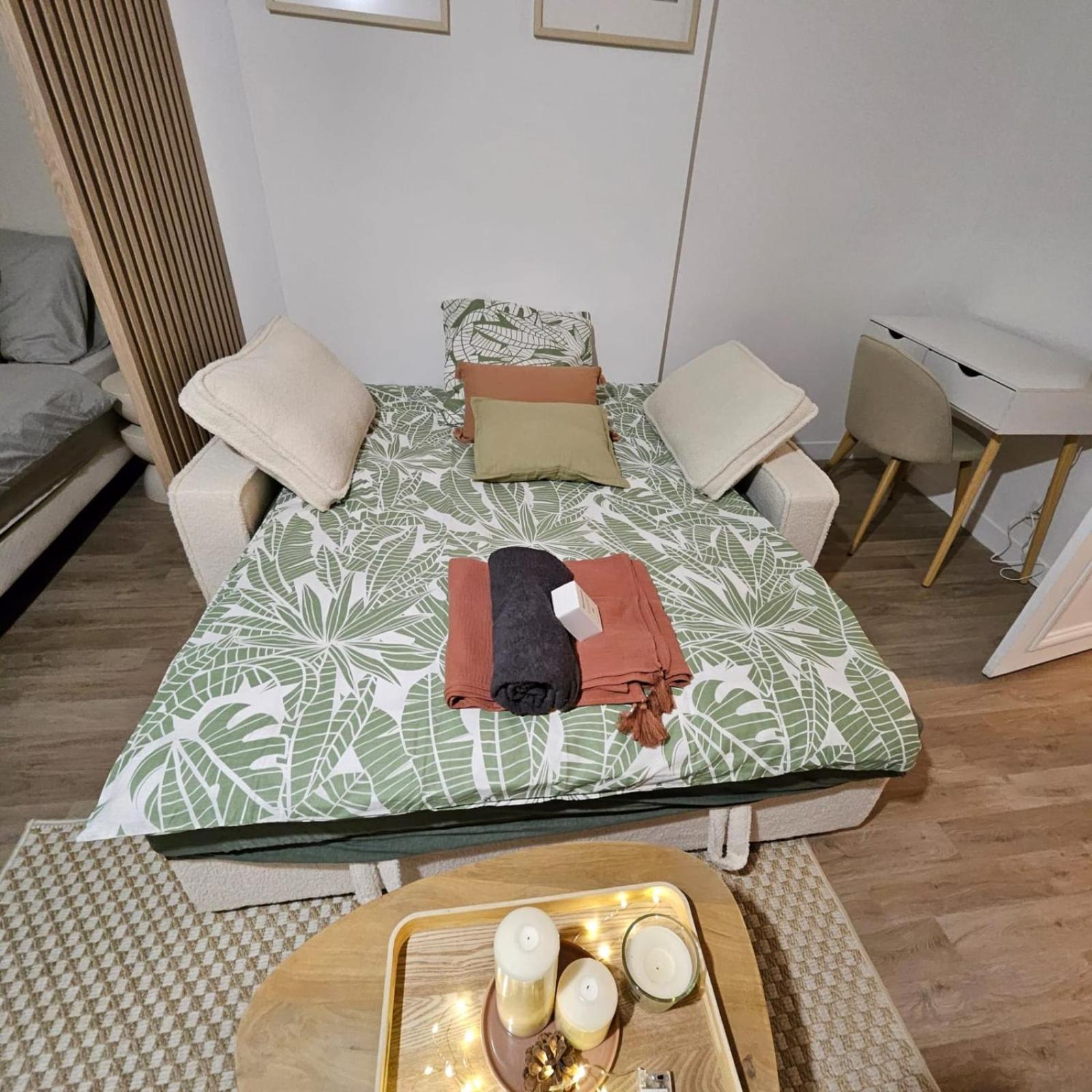 Magnifique Studio rénové centre-ville 3pers wifi