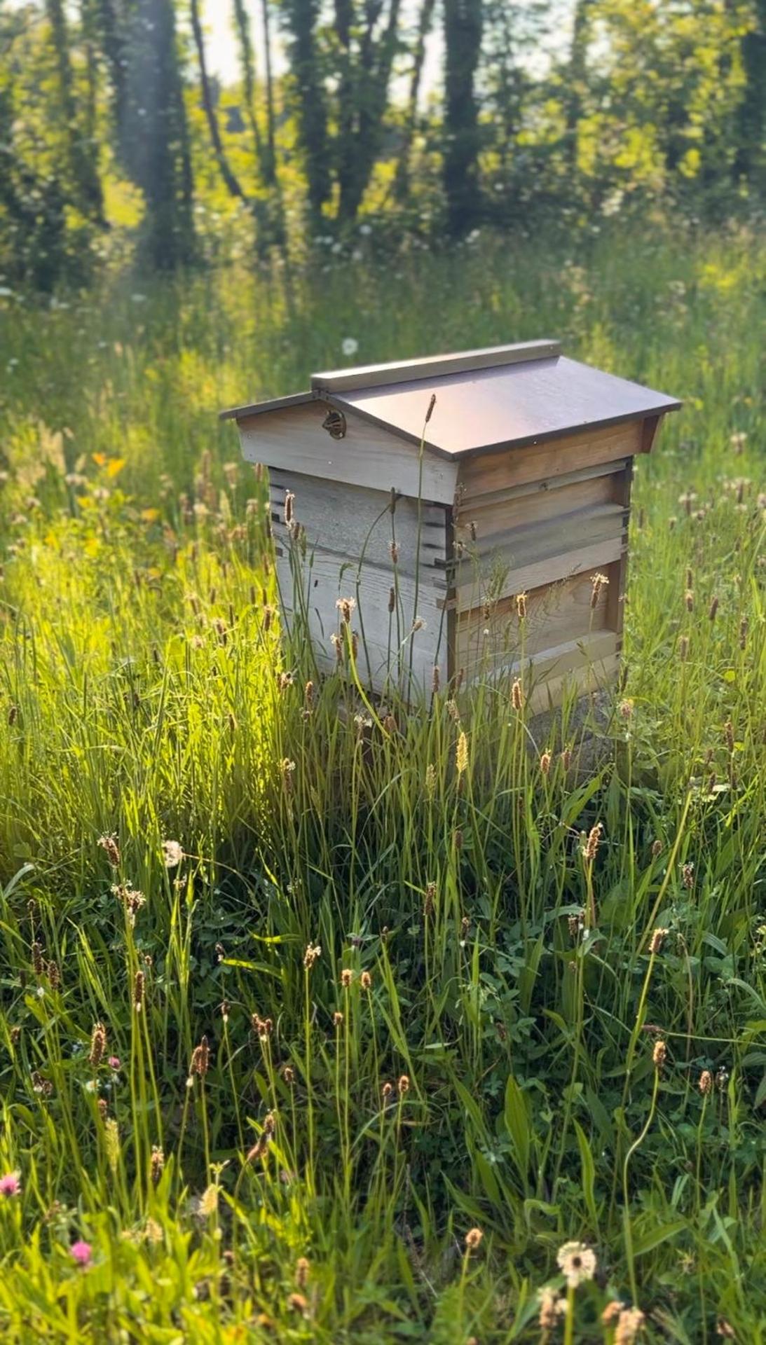 Keenaghan Cottage Belleek Fermanagh Northern Ireland